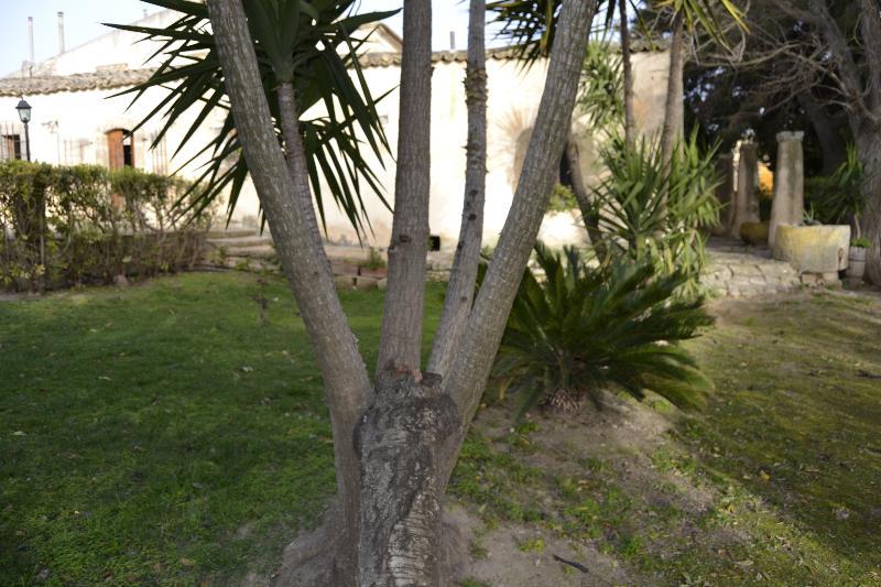 Villa Zottopera كيارامونتي غولفي المظهر الخارجي الصورة